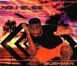 Przycinanie mp3 piosenek Bushman za darmo online.