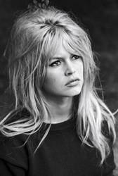 Darmowe dzwonki do pobrania Brigitte Bardot na Nokia E5.